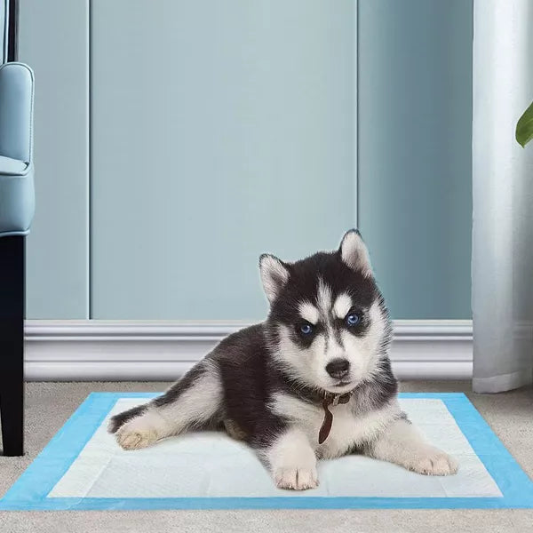 Puppy Pee Pads Training Disposable Pad 22" x 22" 100 Pcs