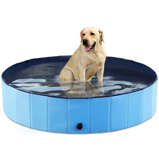 Pet Dog Pool Bath Swimming Tub Foldable 32 x 8 inch
